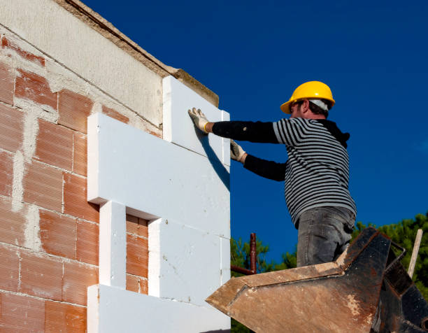Best Insulation Contractors for Homes  in Daleville, VA