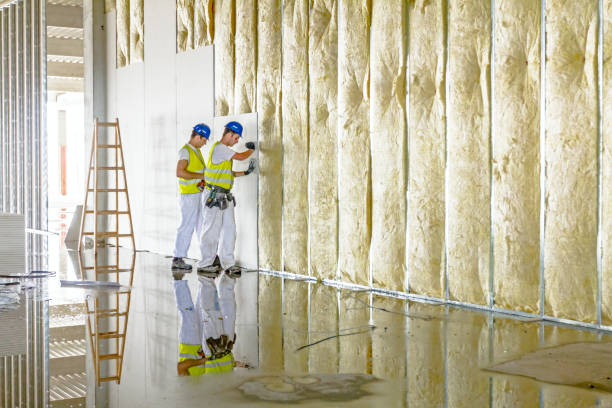 Best Attic Insulation Installation  in Daleville, VA